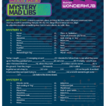 Mystery Mad Libs