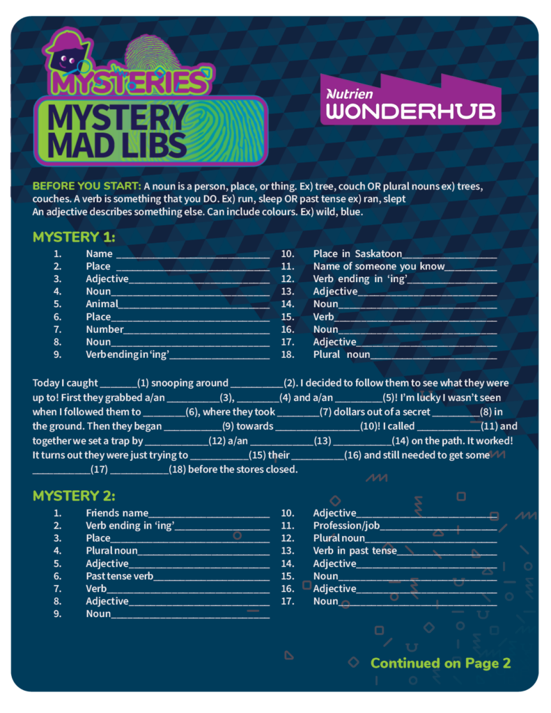 Mystery Mad Libs