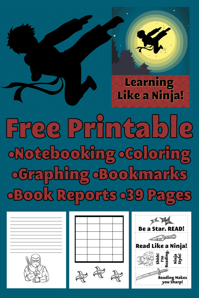 Printable Ninja Mad Libs Printable Mad Libs